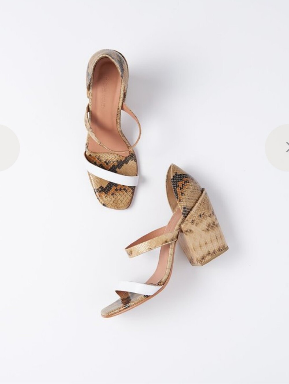Rachel Comey Lico Sandals in Bone Snake, 4" Block Heels